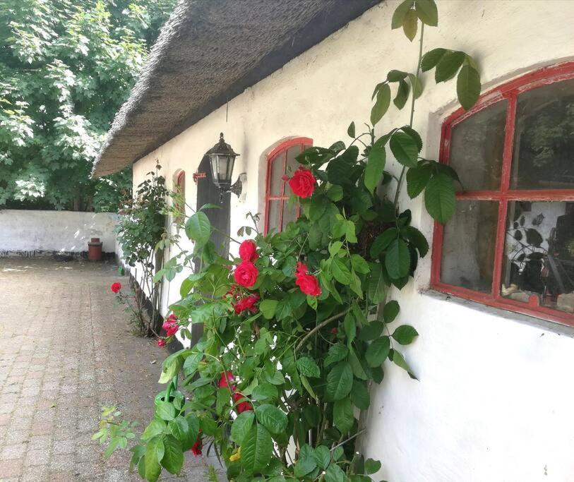 بيت شباب Gemuetliches Reetdachhaus Mit Kaminofen ريب المظهر الخارجي الصورة